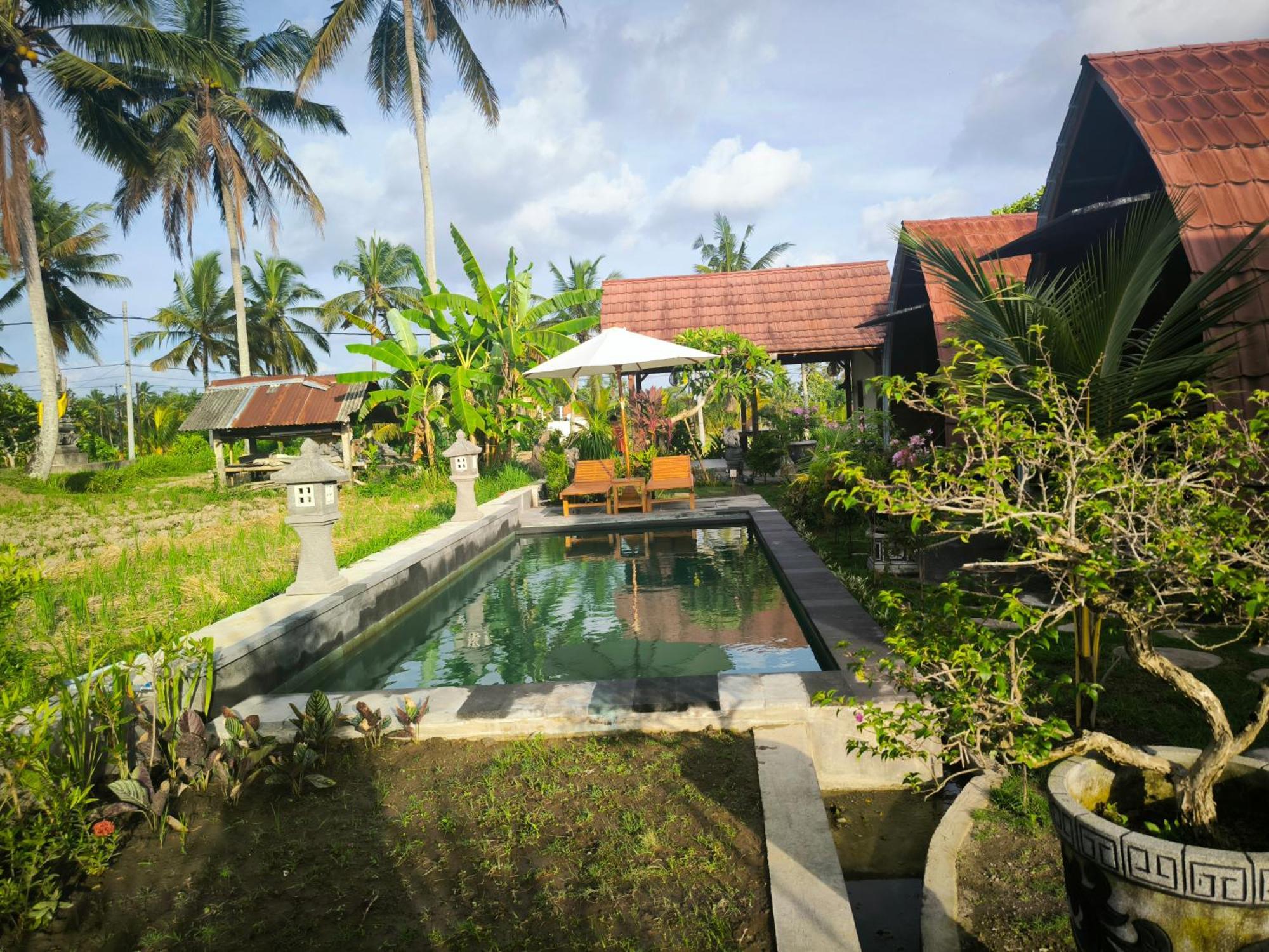 Eling Ubud Guesthouse Kültér fotó